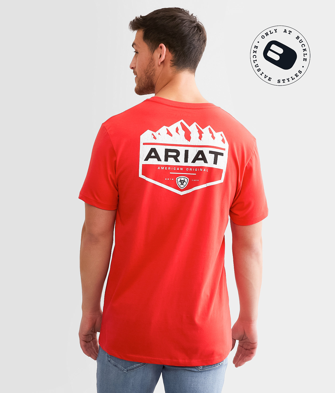 Ariat Original Hex Mountain T-Shirt - Men's T-Shirts in Mars Red