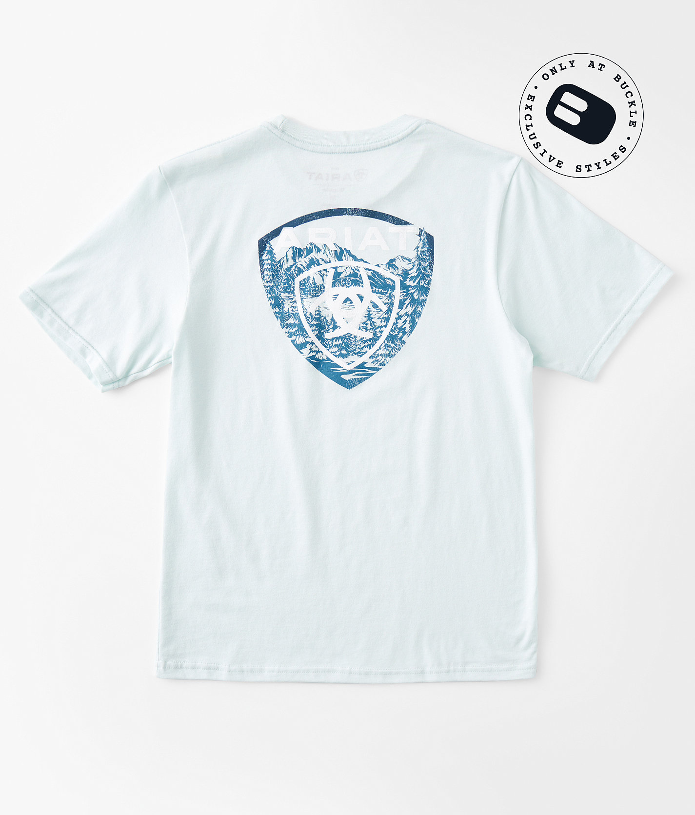 Boys - Ariat Forest Badge T-Shirt - Boy's T-Shirts in Glacier