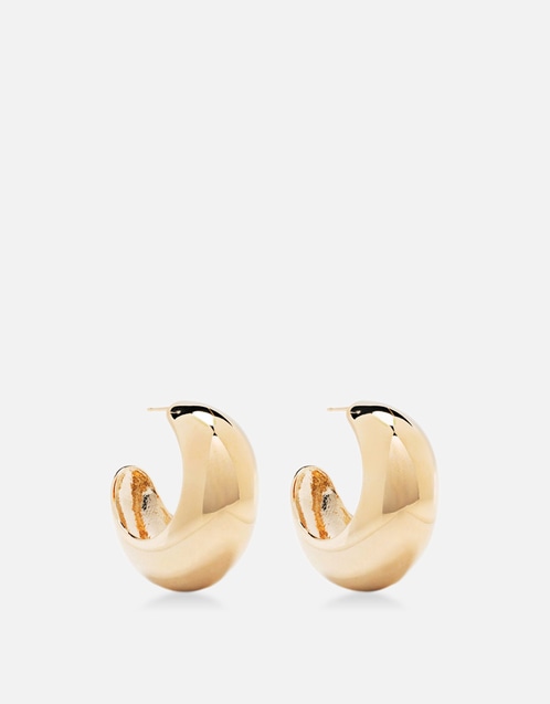 Shiny Crescent Shaped Earrings