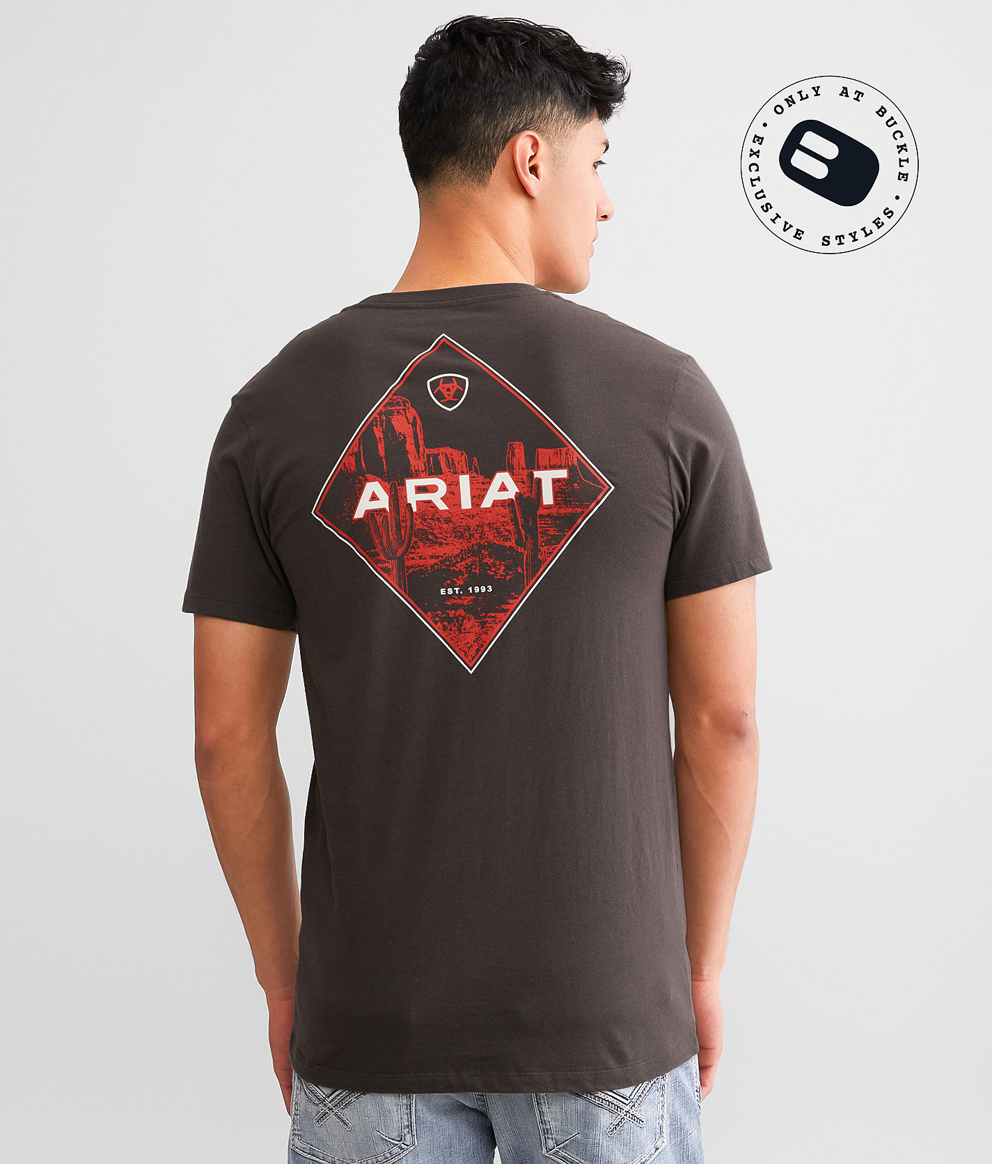 Ariat Diamond Valley T-Shirt - Men's T-Shirts in Vintage Black