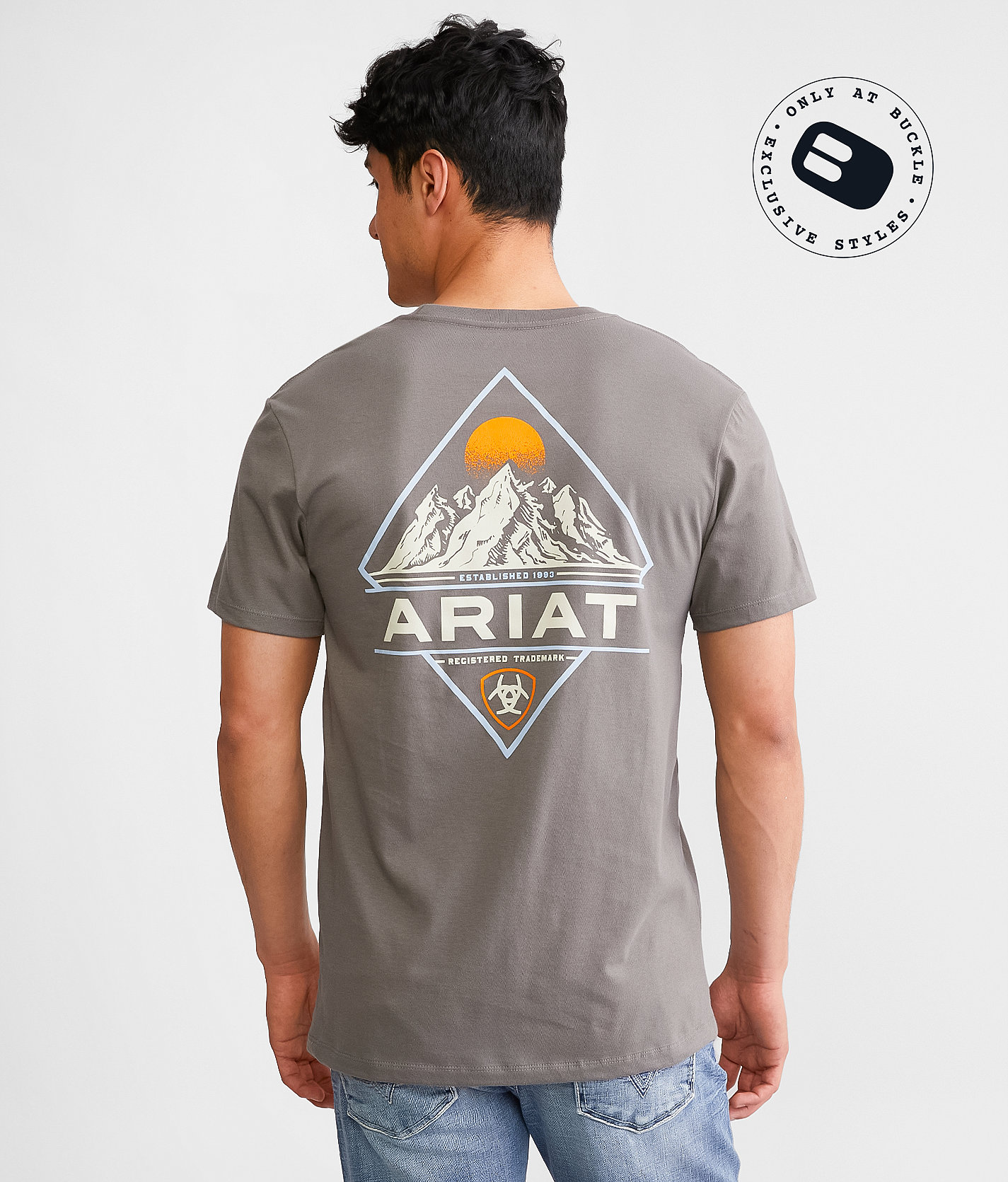 Ariat Diamond Mountain T-Shirt - Men's T-Shirts in Smoked Pearl