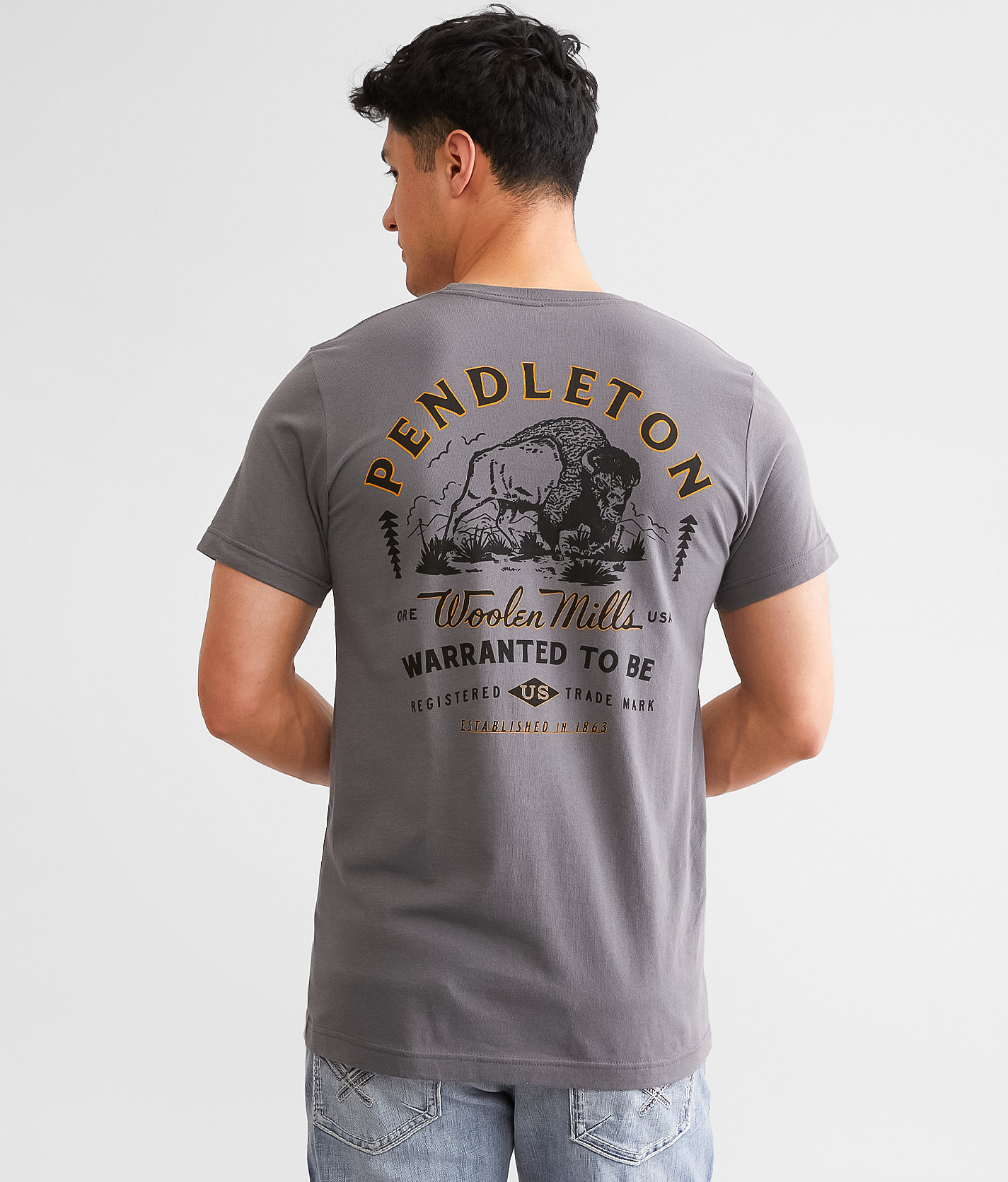 Pendleton Plains Bison T-Shirt - Men's T-Shirts in Asphalt