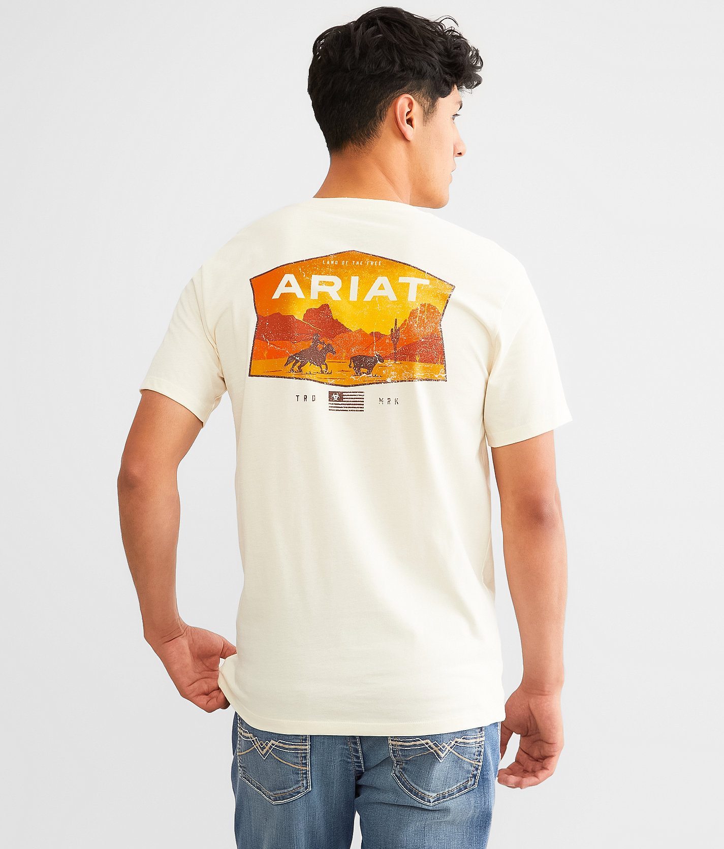 Ariat Greetings From The American West T-Shirt - Men's T-Shirts in Wood Ash