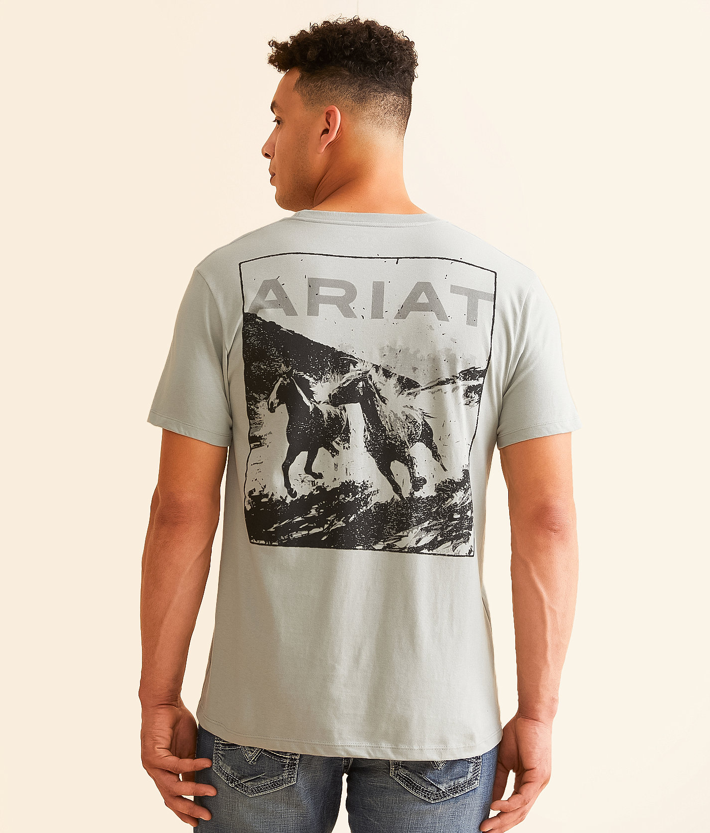 Ariat Pryor Horses T-Shirt - Men's T-Shirts in Limestone