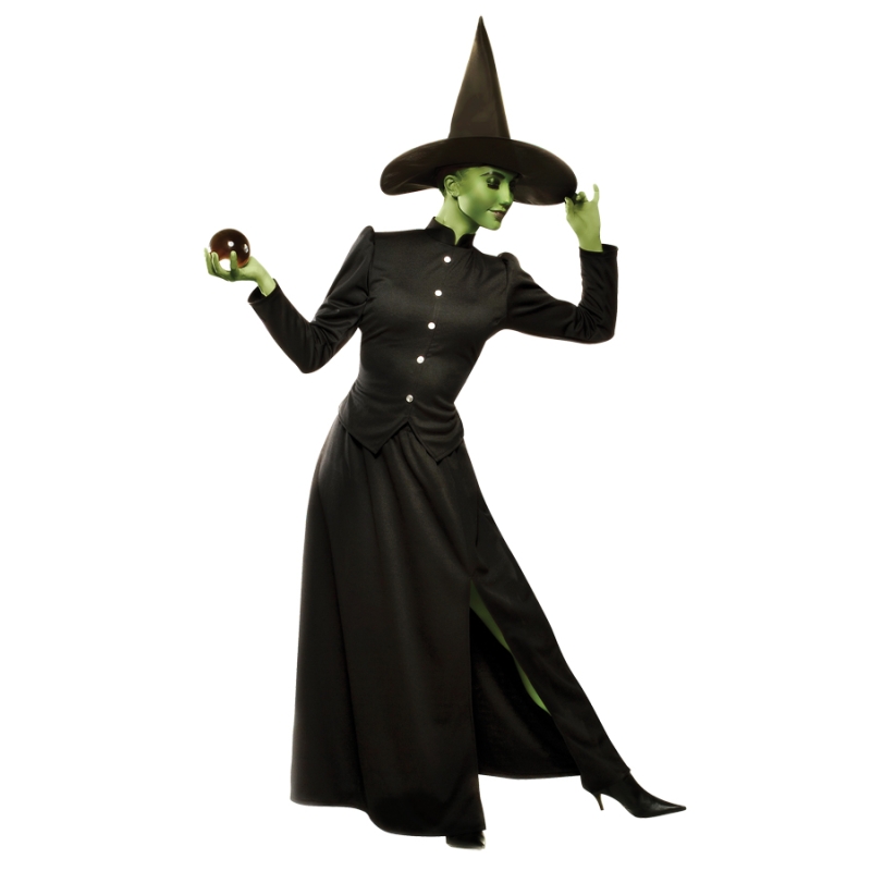 Classic Witch Adult Medium