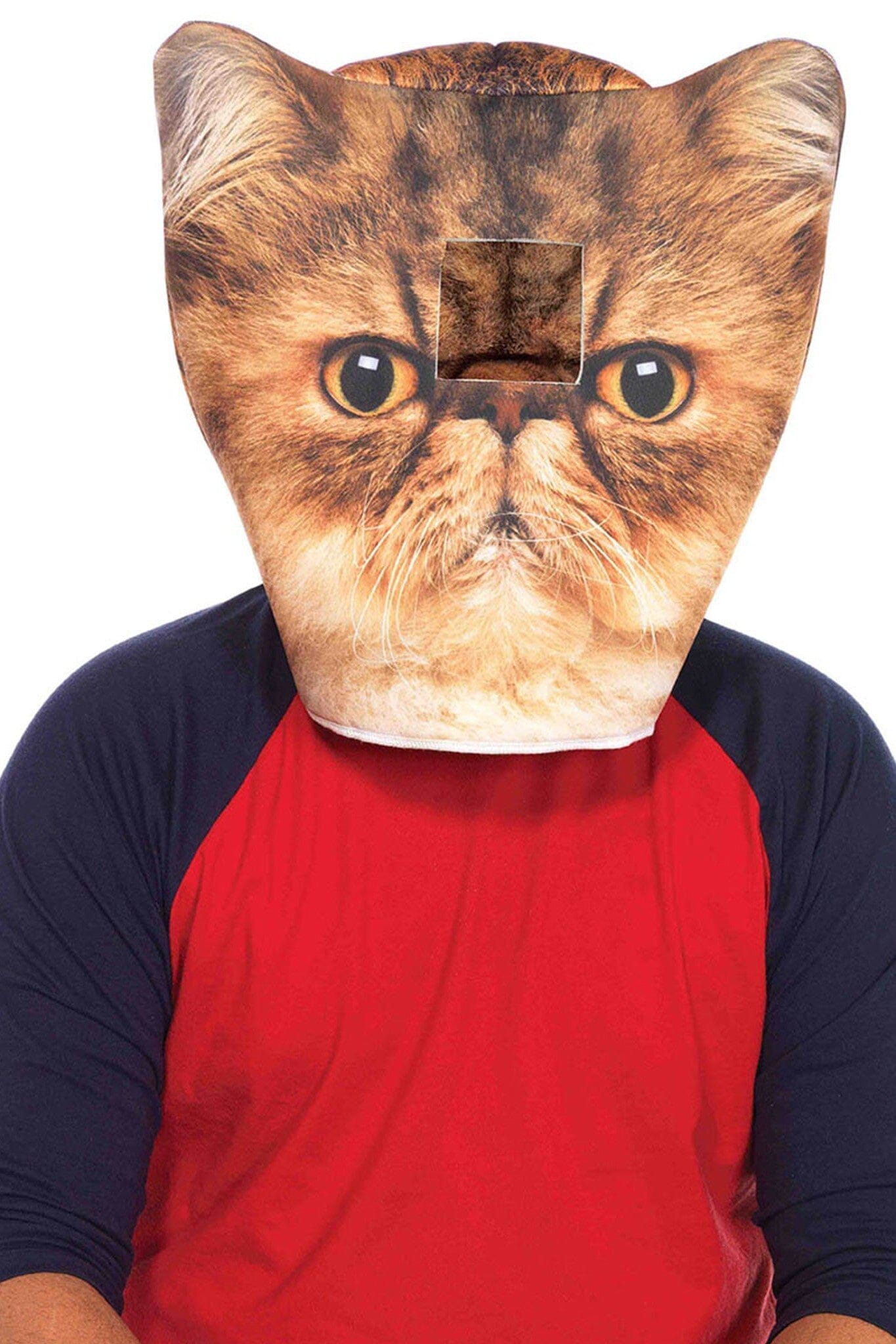Angry Cat Foam Mask