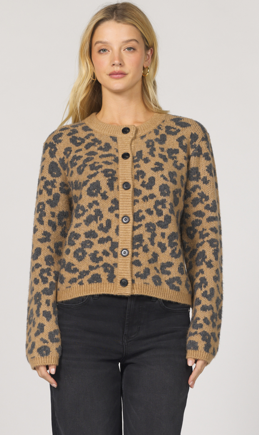 Long Sleeve Leopard Print Sweater
