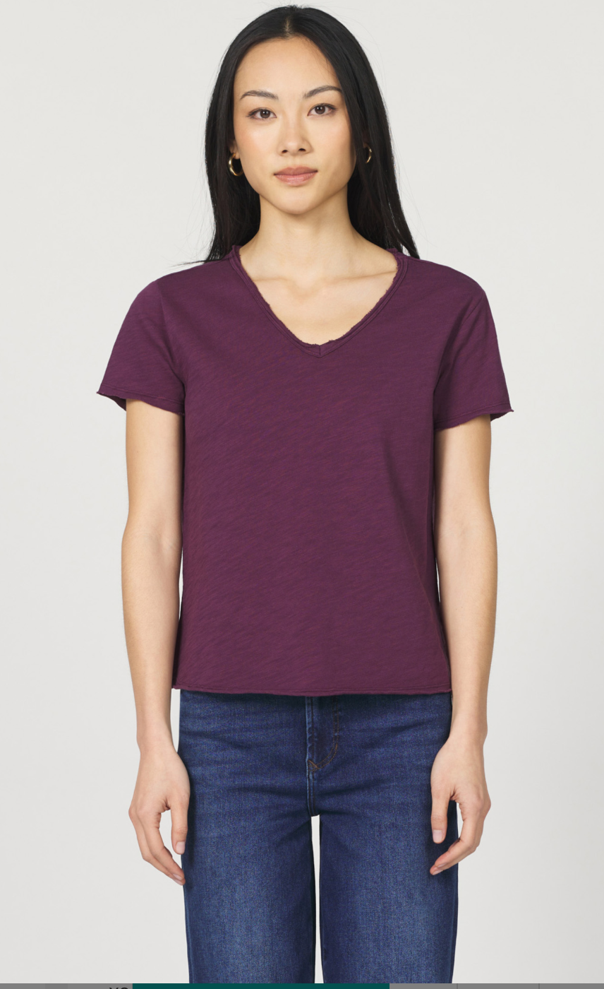 V Neck Raw Hem Tee-Fig