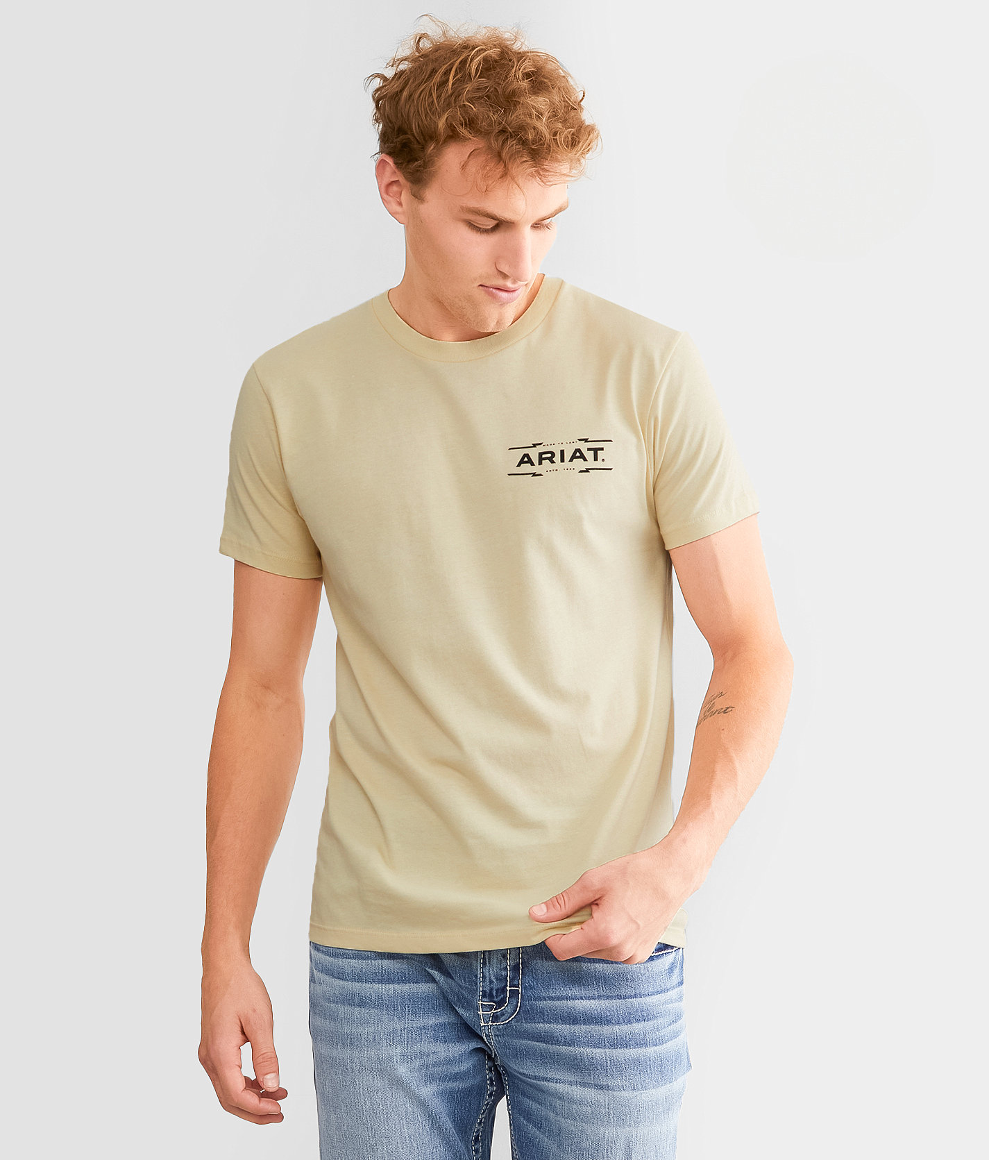 Ariat Diamond Canyon T-Shirt - Men's T-Shirts in Wood Ash