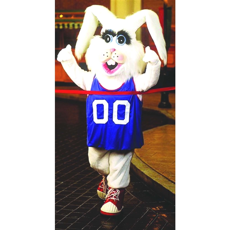 Sebastian Rabbit  As Pictured