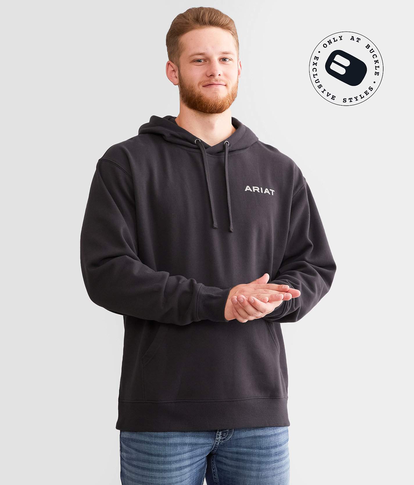 Ariat Diamond Canyon Hooded Sweatshirt - Men's Sweatshirts in Phantom