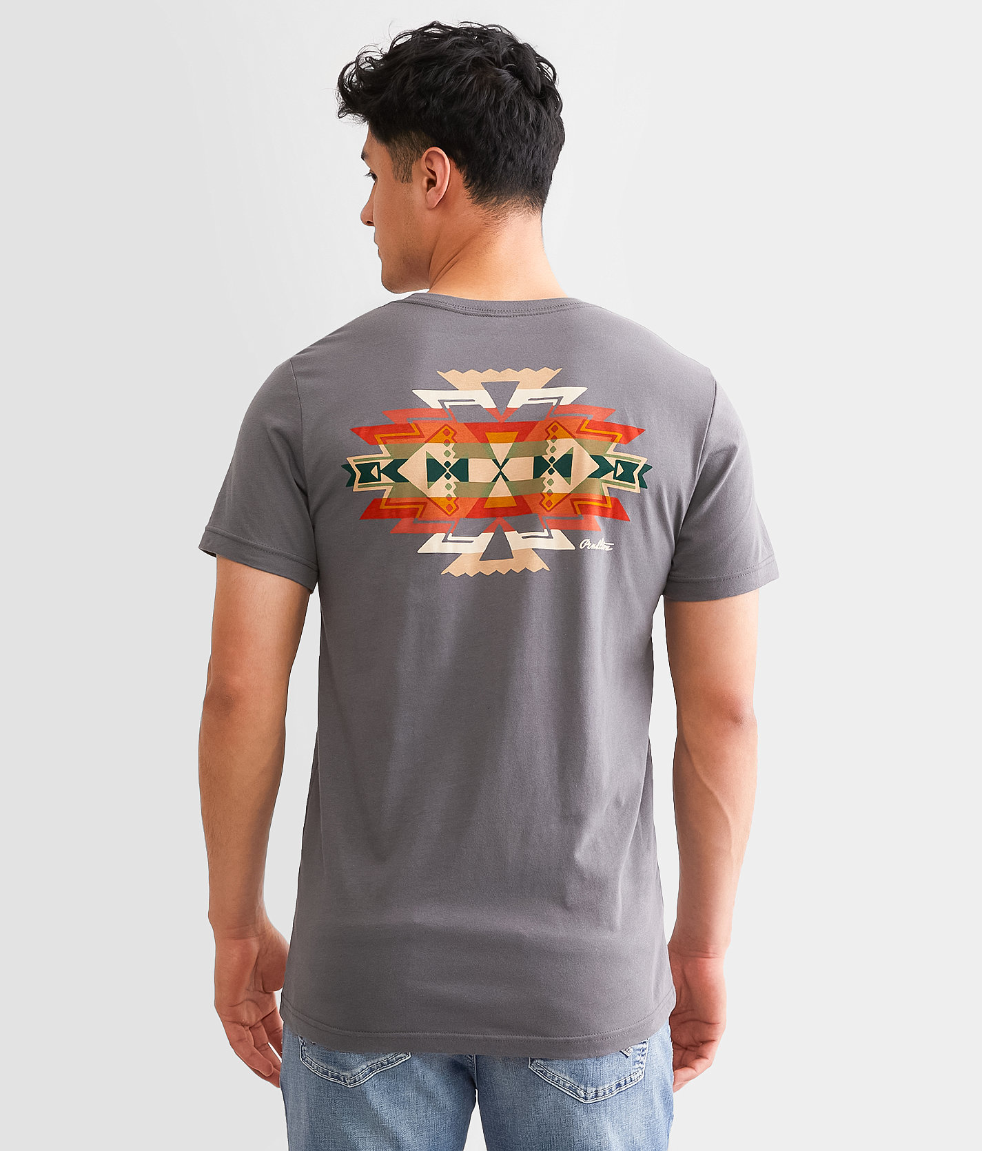 Pendleton Highland Peak T-Shirt - Men's T-Shirts in Asphalt Multi
