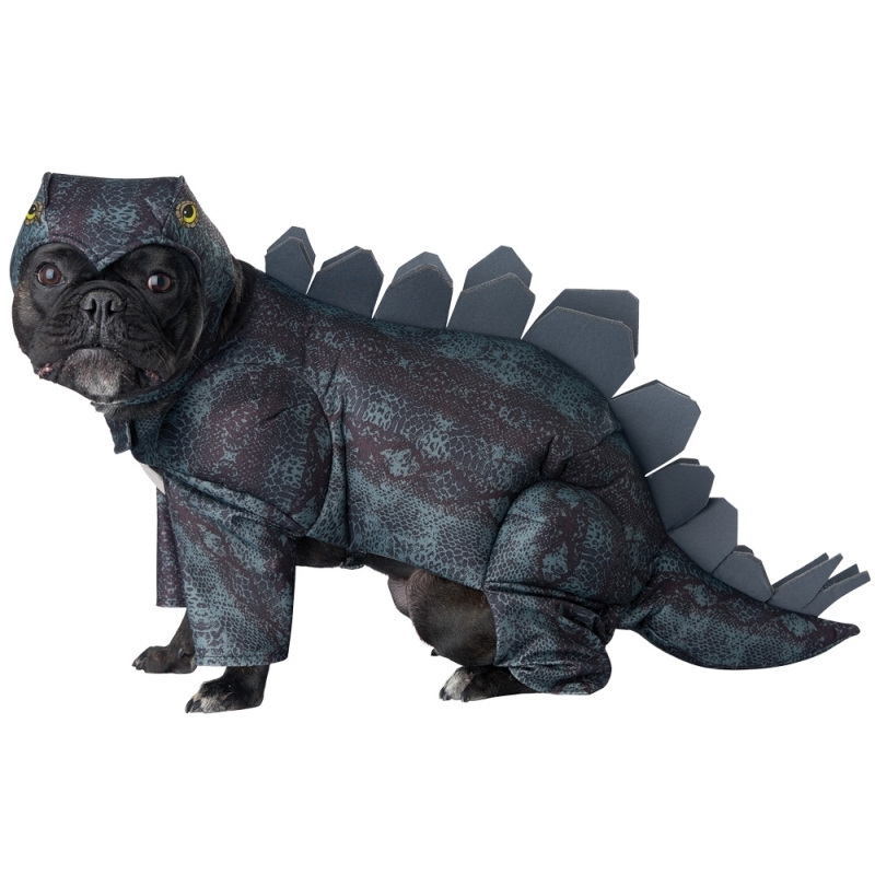 Stegosaurus Dog Lg