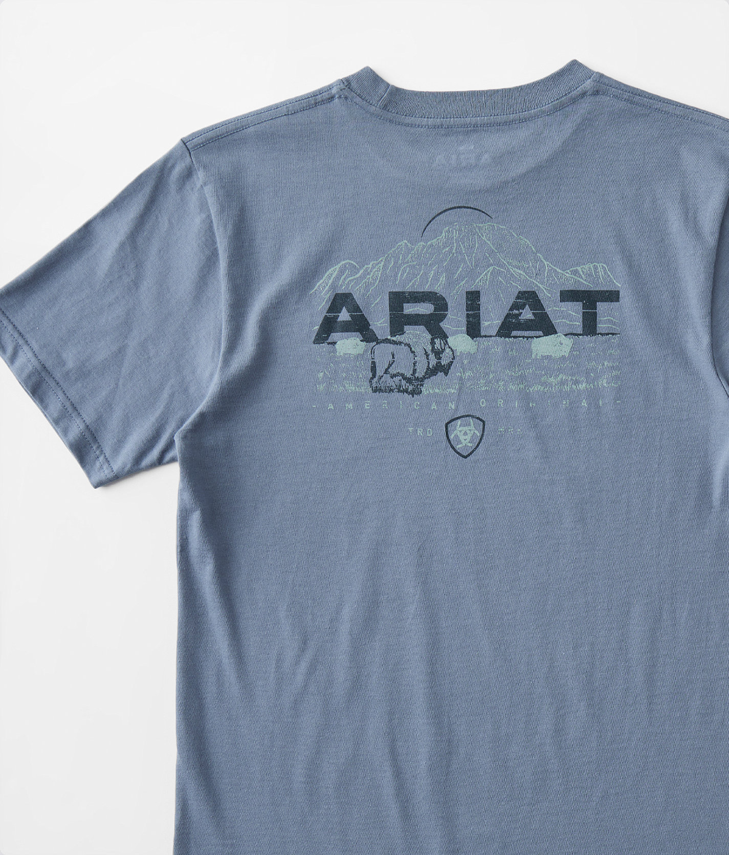 Boys - Ariat Y'all Herd T-Shirt - Boy's T-Shirts in Light Denim