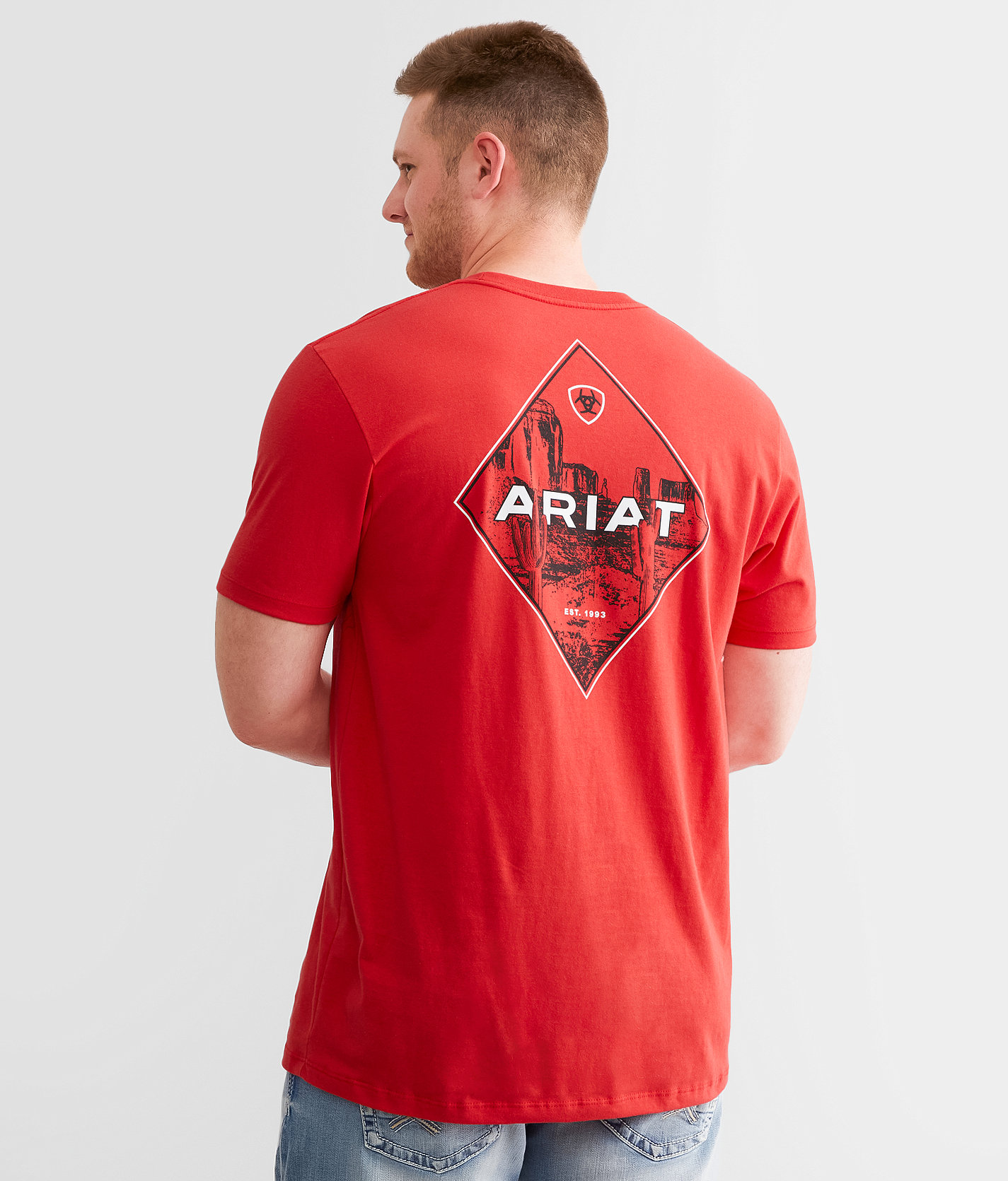 Ariat Diamond Valley T-Shirt - Men's T-Shirts in Mars Red