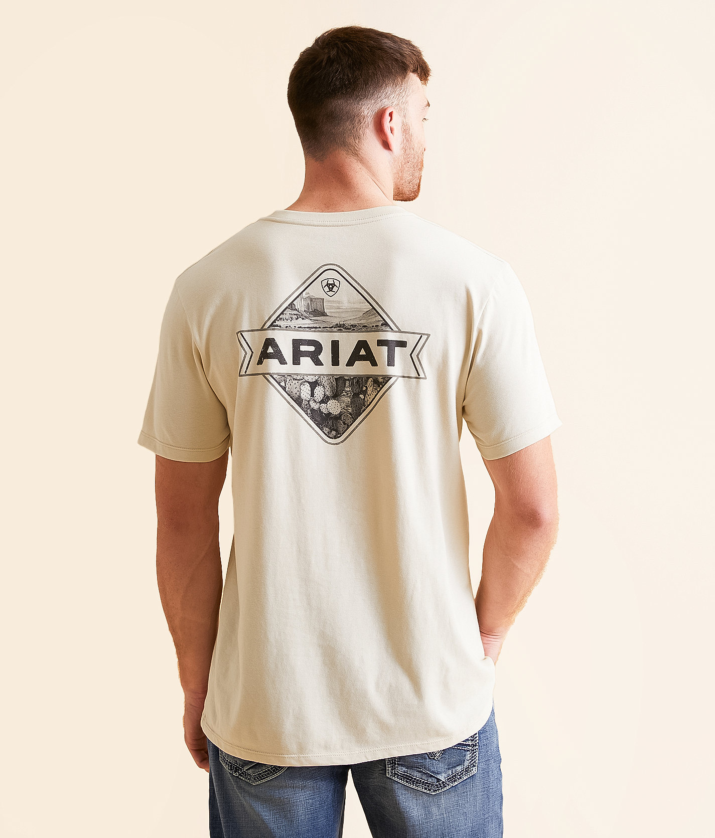 Ariat Cactus Valley T-Shirt - Men's T-Shirts in Natural