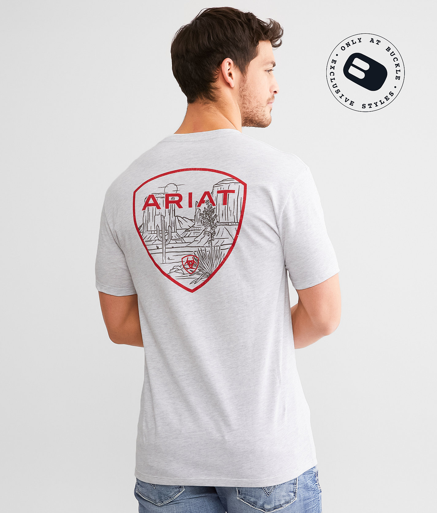 Ariat Monument Valley Shield T-Shirt - Men's T-Shirts in Ash