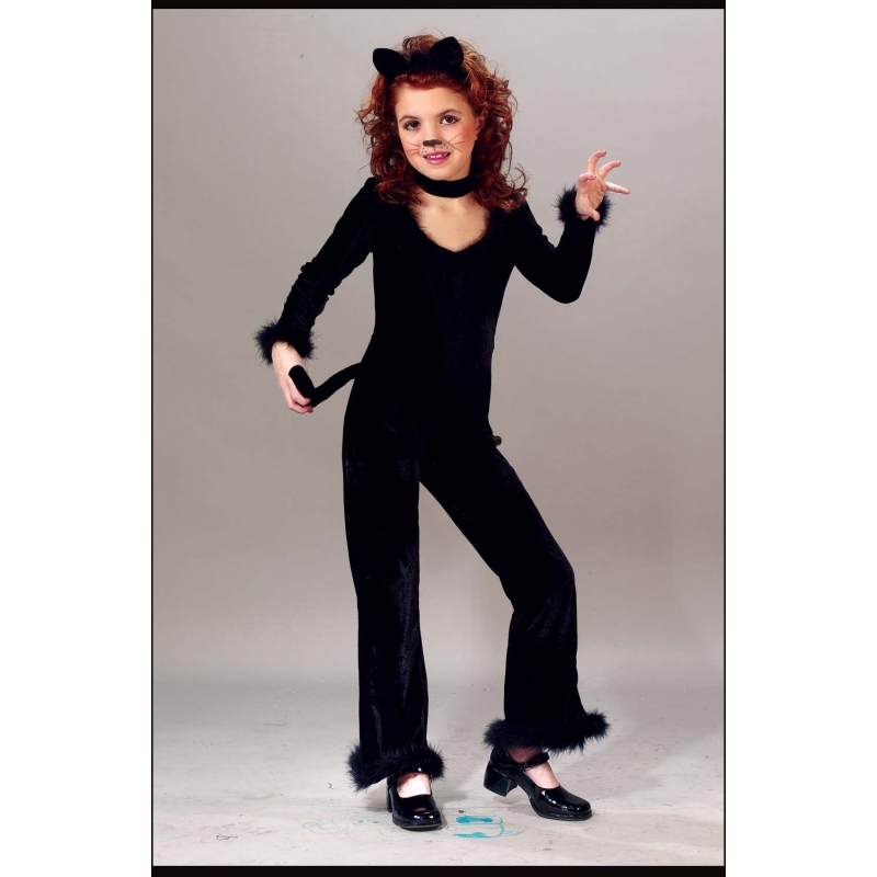 Playful Kitty 12 To 14