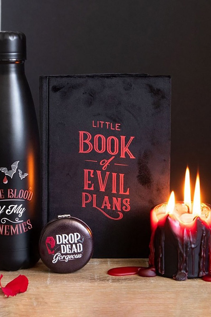 Little Book Of Evil Plans Notebook [Gothic Vampire Velvet]