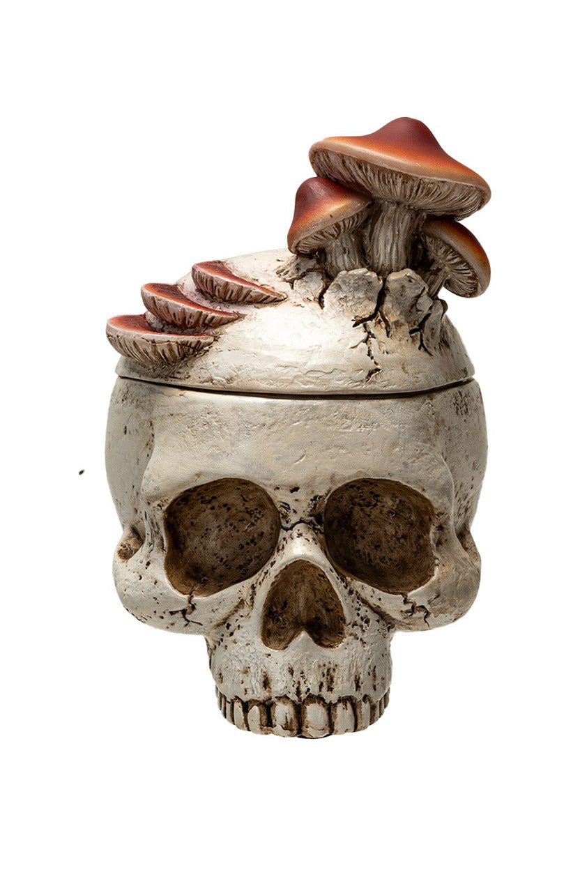 Mushroom Skull Stash Box