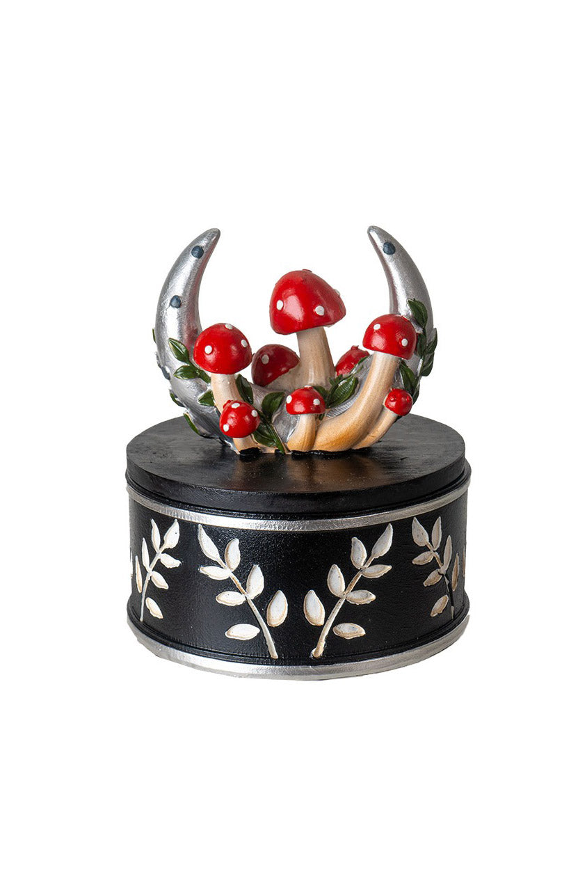 Moon & Mushroom Box