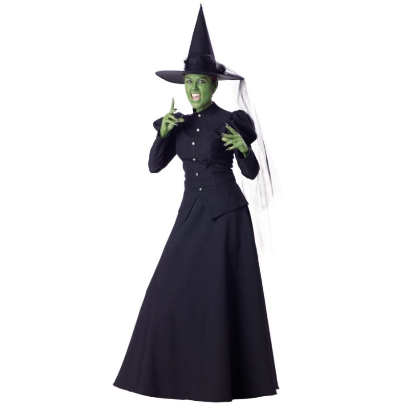 Wicked Witch Adult Small