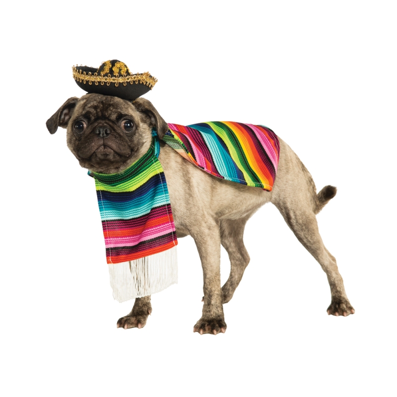Pet Mexican Poncho/Sombrero Md